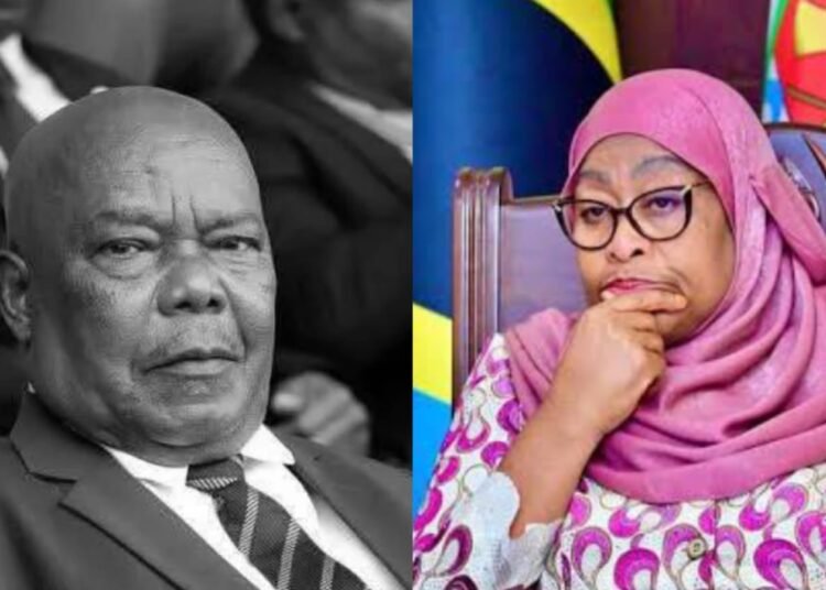 Hafidh Ameir Hassan, husband of Tanzanian President Samia Suluhu Hassan