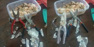 Police allegedly find pliers and shears hidden in a plate of rice brought for suspects at Ruai Police Station