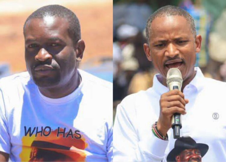 Babu Owino speaking during a Linda Mwananchi rally in Nairobi